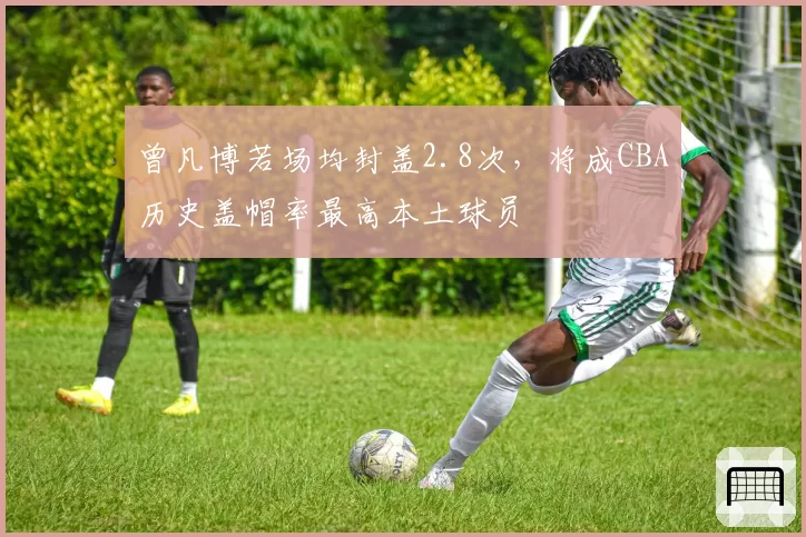 曾凡博若场均封盖2.8次，将成CBA历史盖帽率最高本土球员