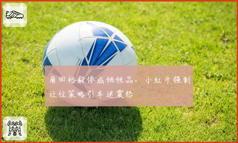 角田裕毅惨成牺牲品，小红牛强制让位策略引车迷震怒