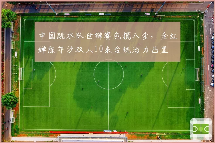 中国跳水队世锦赛包揽八金，全红婵陈芋汐双人10米台统治力凸显