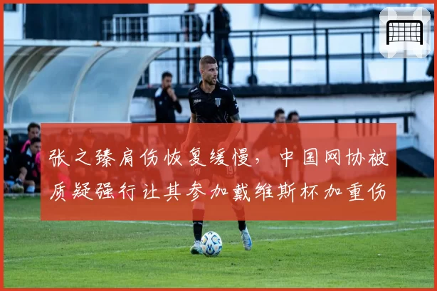 张之臻肩伤恢复缓慢,中国网协被质疑强行让其参加戴维斯杯加重伤情