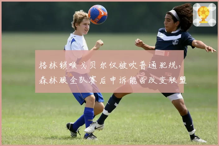 格林锁喉戈贝尔仅被吹普通犯规，森林狼全队赛后申诉能否改变联盟态度？