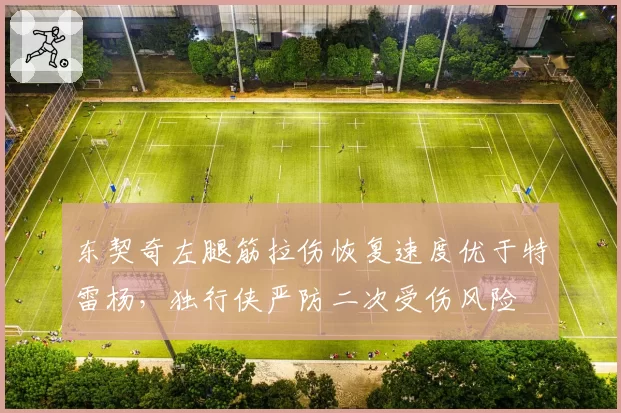 东契奇左腿筋拉伤恢复速度优于特雷杨，独行侠严防二次受伤风险