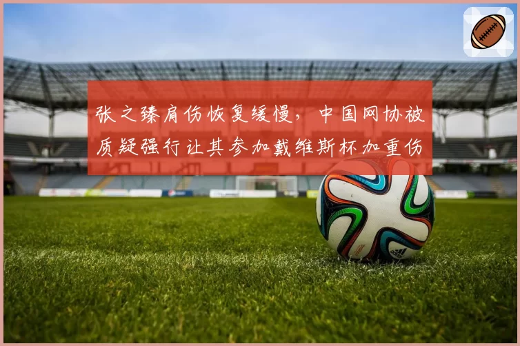 张之臻肩伤恢复缓慢,中国网协被质疑强行让其参加戴维斯杯加重伤情