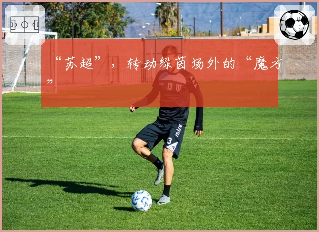 “苏超”，转动绿茵场外的“魔方”