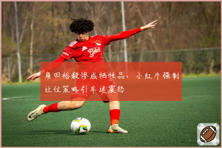 角田裕毅惨成牺牲品,小红牛强制让位策略引车迷震怒