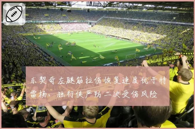 东契奇左腿筋拉伤恢复速度优于特雷杨，独行侠严防二次受伤风险