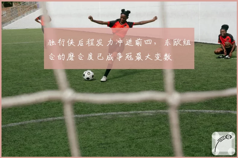 独行侠后程发力冲进前四,东欧组合的磨合度已成争冠最大变数