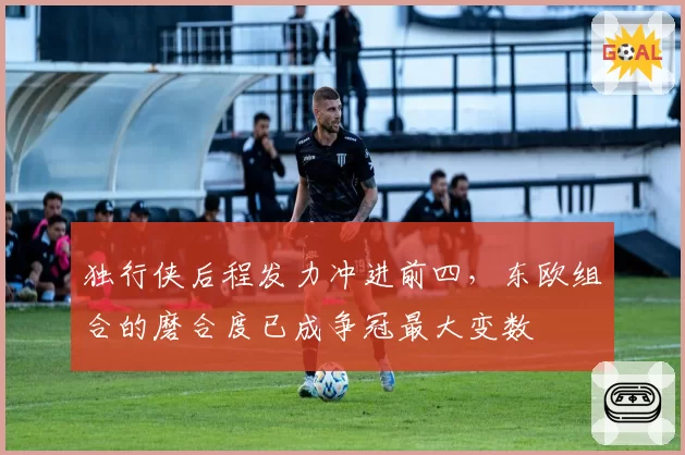 独行侠后程发力冲进前四，东欧组合的磨合度已成争冠最大变数